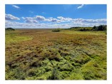 Wetlands of the Biebrza Valley. Photo: M. Kluczek