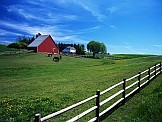 Meadow: Credits: iStock