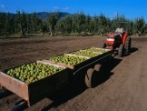 FPCUP Copernicus products and services for forecasting agricultural production. Credits: iStock